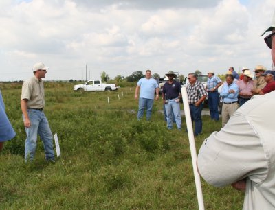 picture of people in a pasture discussing weeds at Pasture Weed Day 2006