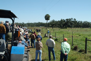 people standing in a field