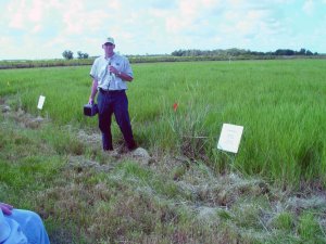 A professor presents useful pasture weed information to attendees during the field tour