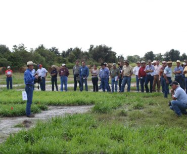 Attendees listen to an informative presentation during weed field day 2008