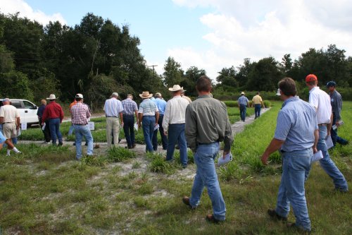Attendees walk through pastures at RCREC during Weed Field Day 2008