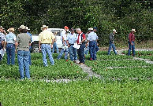 Attendees look at herbicide testing areas during weed field day 2008