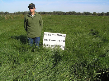 A man standing a pasture with a large white posterboard